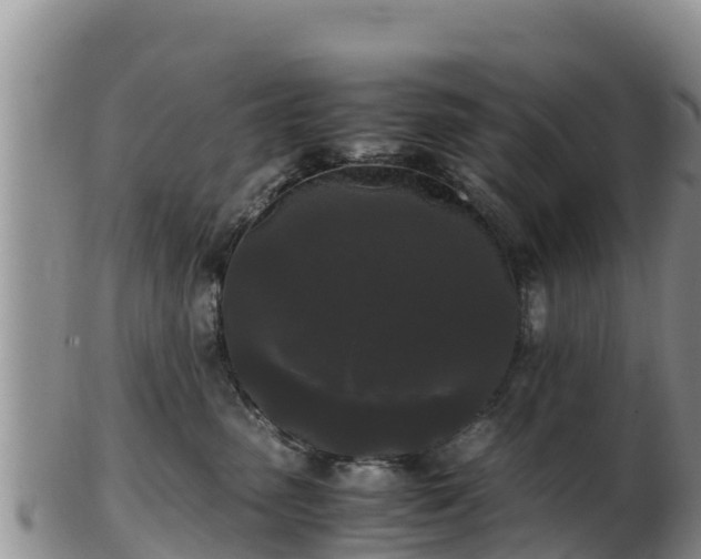 X0000103310475200809051549