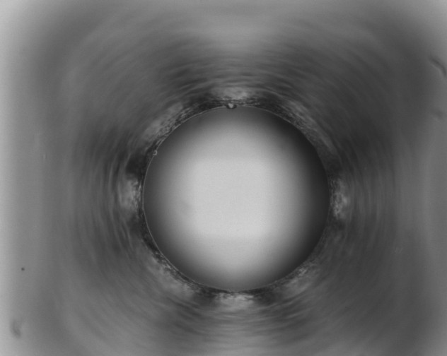 X0000103310476200809051549