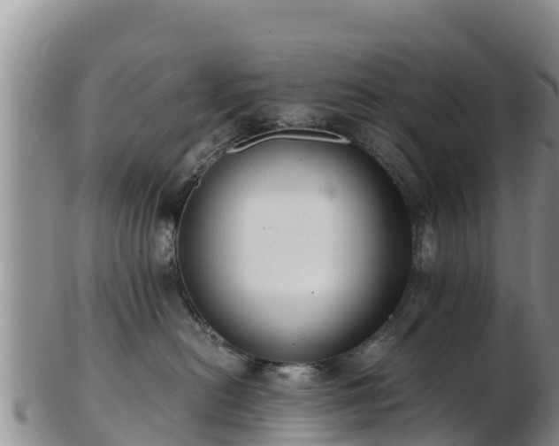X0000103310478200809051549