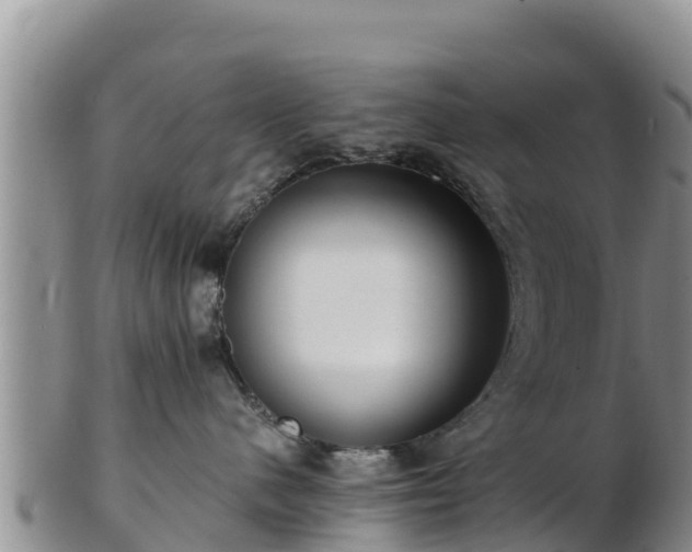 X0000103310480200809051549
