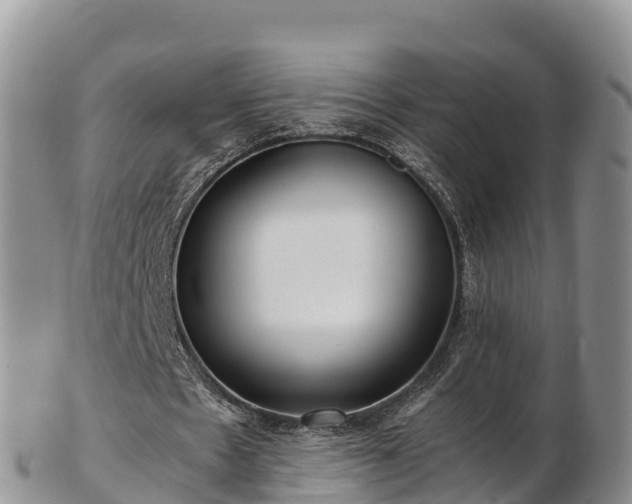 X0000103310481200809051548