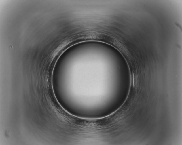 X0000103310483200809051548