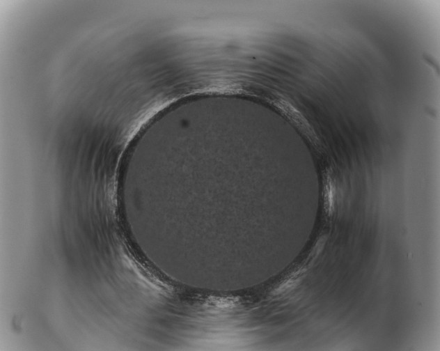 X0000103310484200809051548