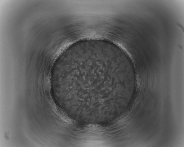 X0000103310487200809051548