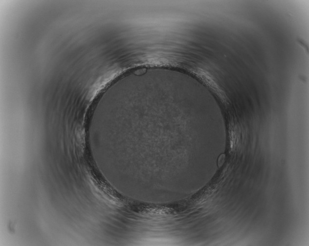 X0000103310488200809051548