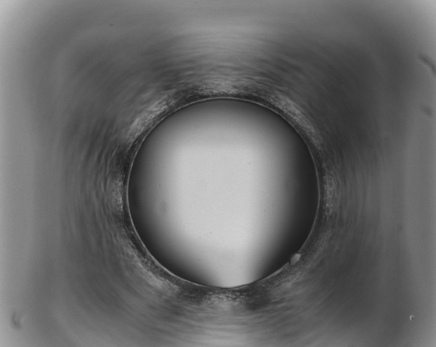 X0000103310489200809051548