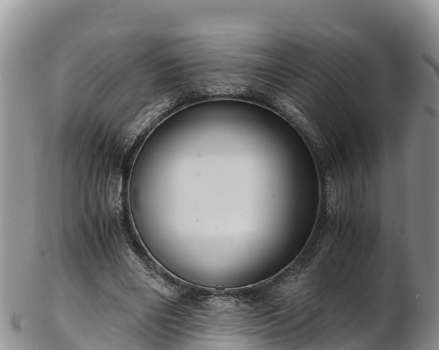 X0000103310490200809051548