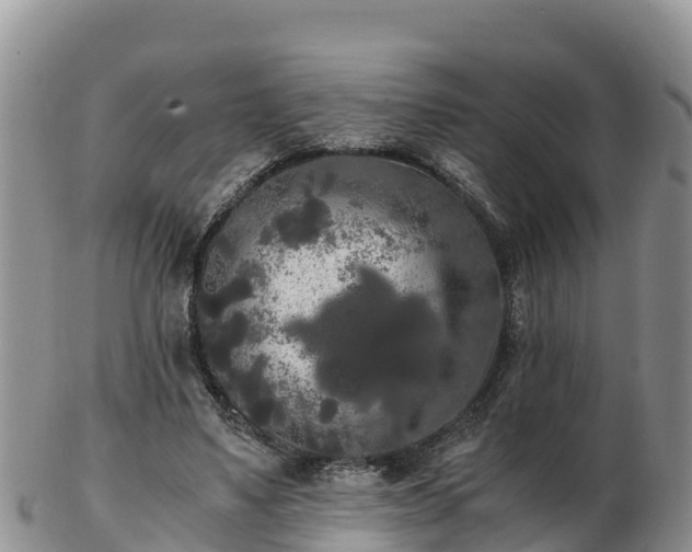 X0000103310491200809051548
