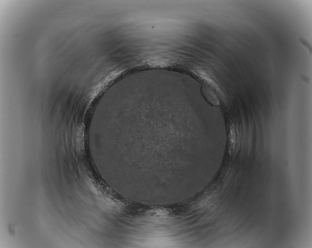 X0000103310492200809051548