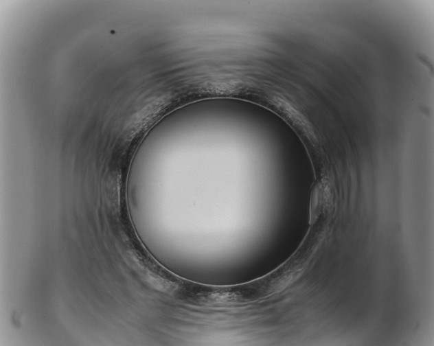 X0000103310493200809051548