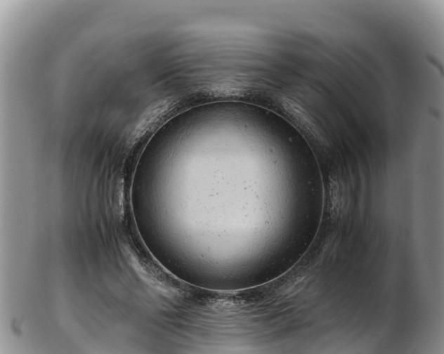 X0000103310494200809051548