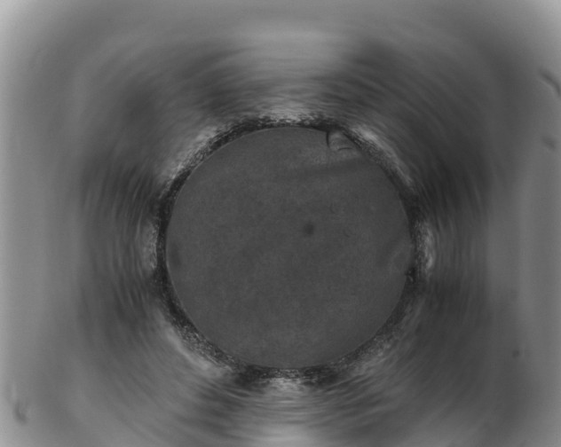 X0000103310496200809051548