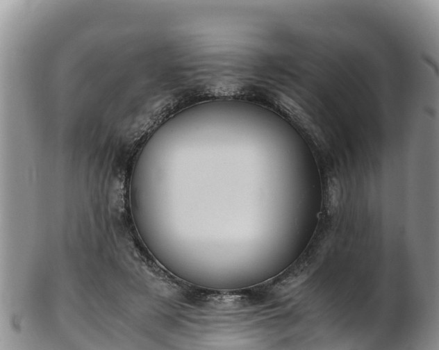 X0000103310497200809051548