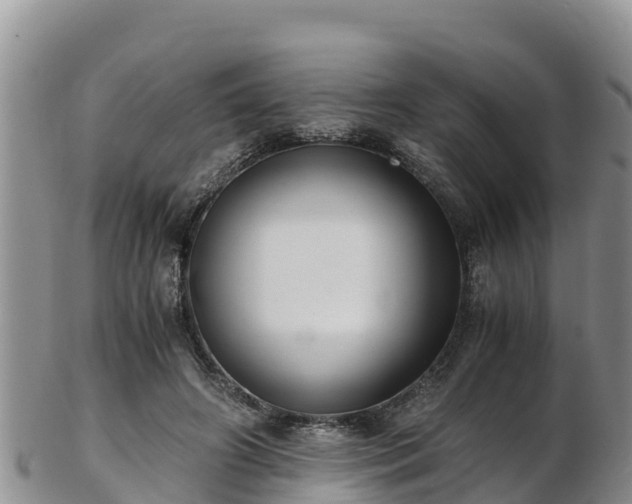 X0000103310498200809051548