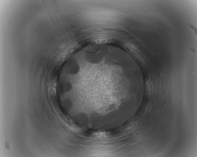 X0000103310499200809051548