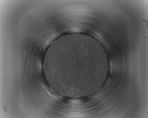 X0000103310500200809051548