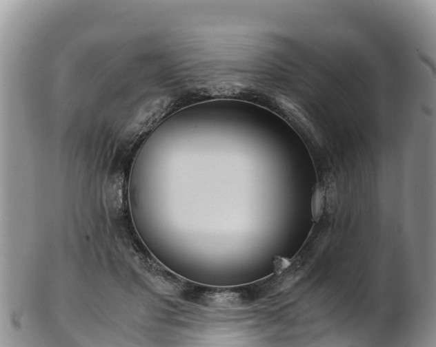 X0000103310501200809051548