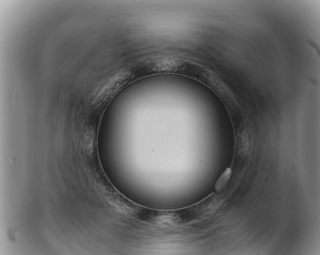X0000103310505200809051548