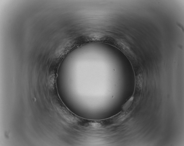 X0000103310509200809051548