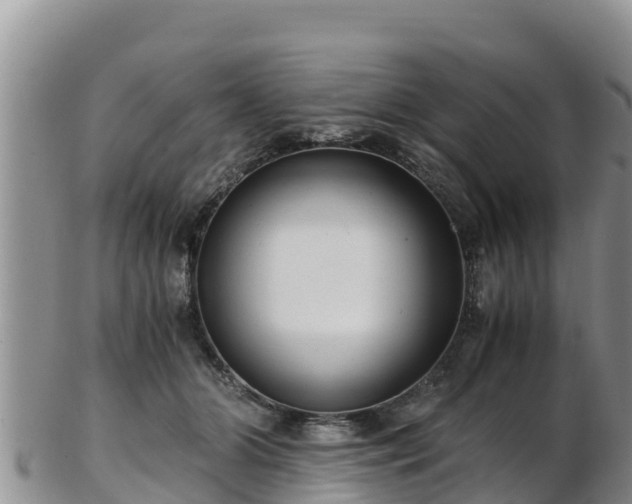 X0000103310510200809051548