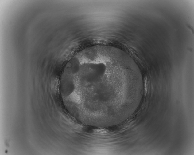 X0000103310511200809051548