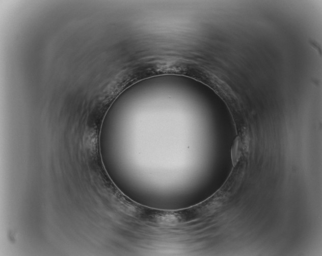 X0000103310513200809051548