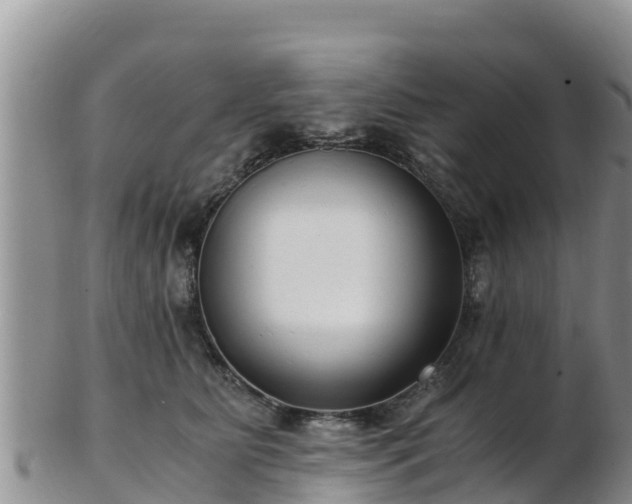 X0000103310515200809051548