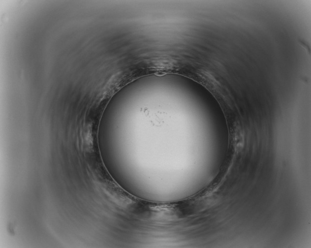 X0000103310516200809051548