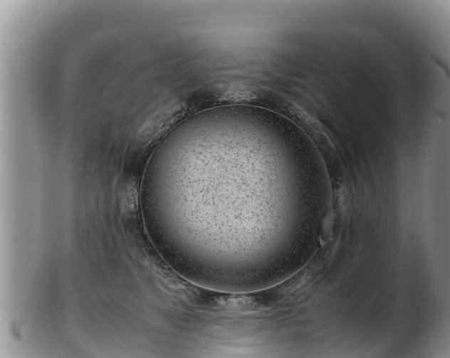 X0000103310517200809051548