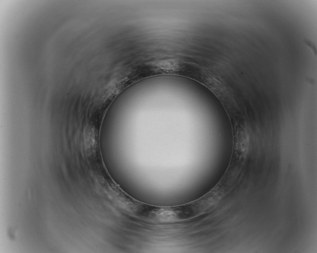 X0000103310518200809051548