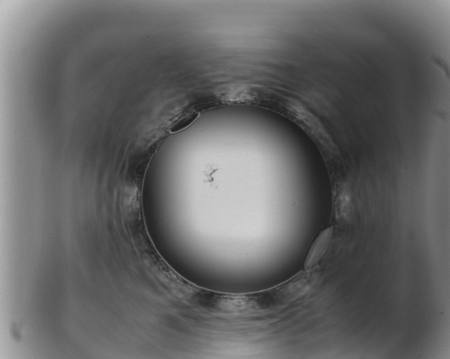 X0000103310521200809051548