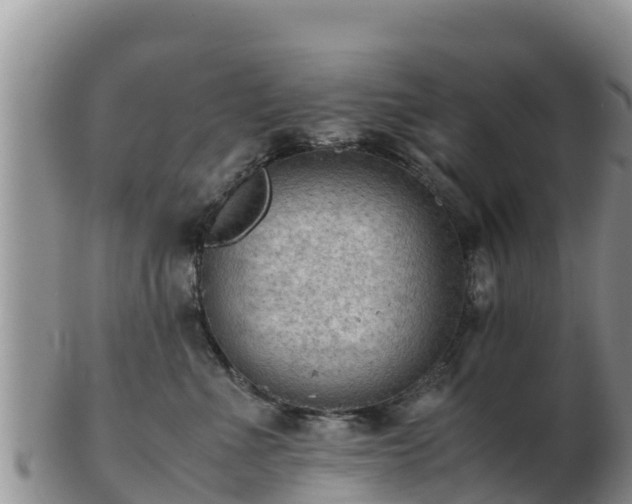 X0000103310523200809051548