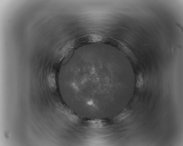 X0000103310524200809051548