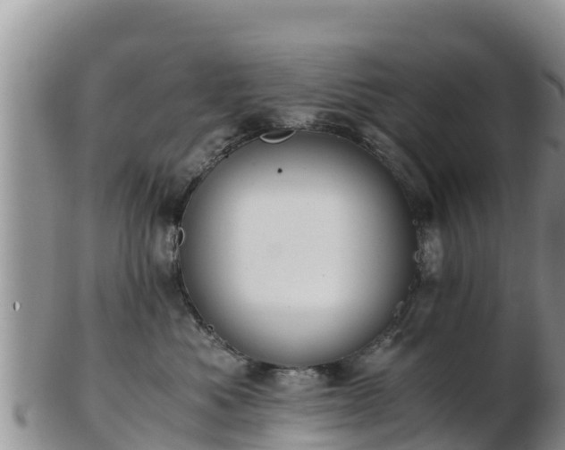X0000103310525200809051548