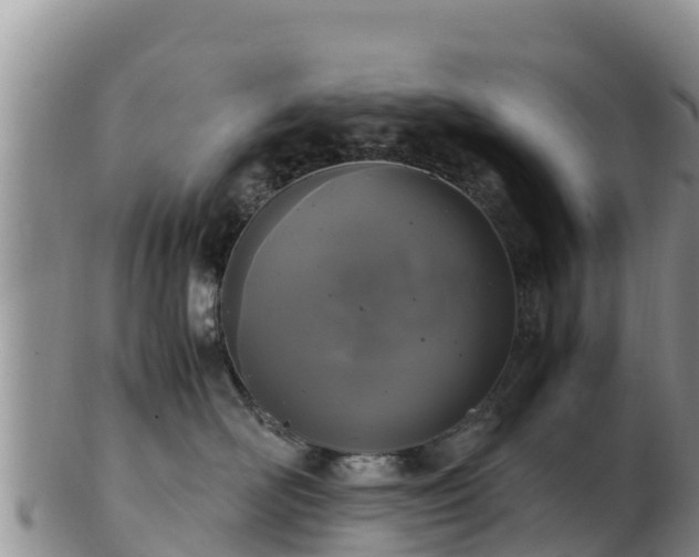 X0000103310526200809051548