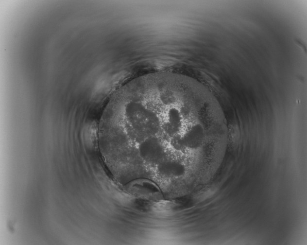 X0000103310527200809051547