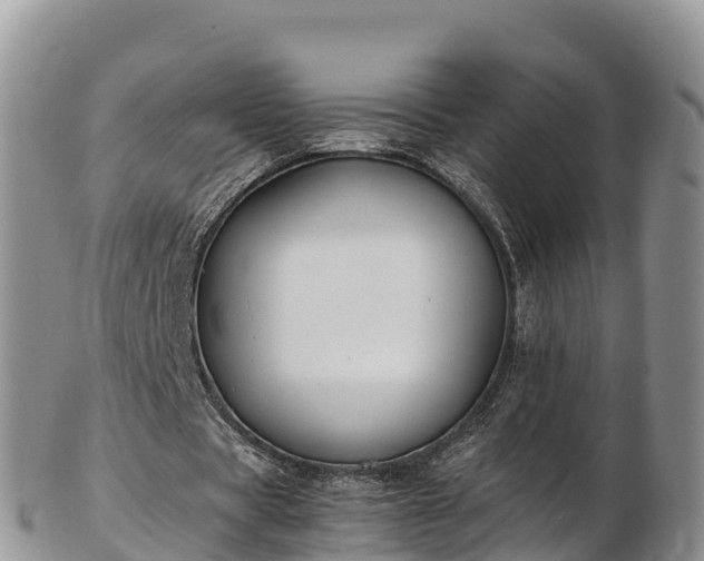 X0000103310529200809051547
