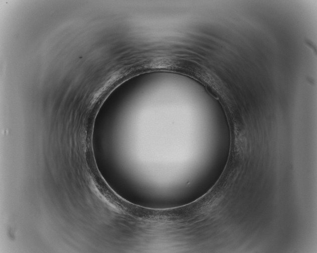 X0000103310530200809051547