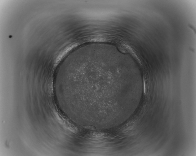 X0000103310531200809051547