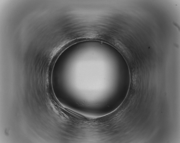 X0000103310532200809051547
