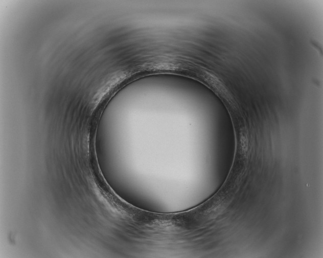 X0000103310534200809051547