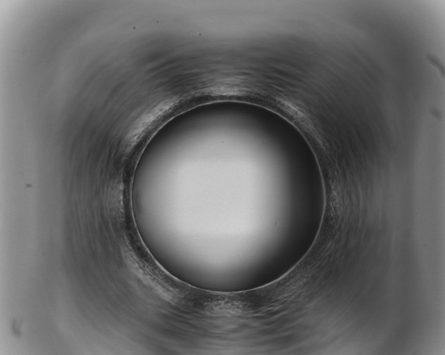 X0000103310535200809051547