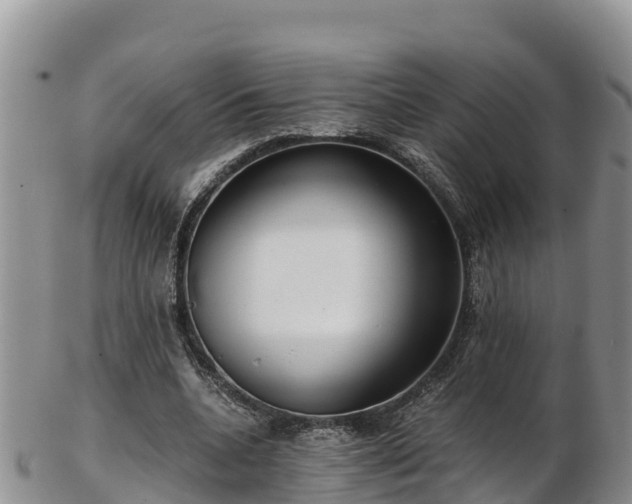 X0000103310536200809051547