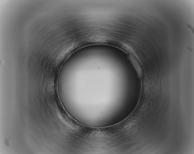 X0000103310538200809051547