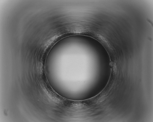 X0000103310540200809051547