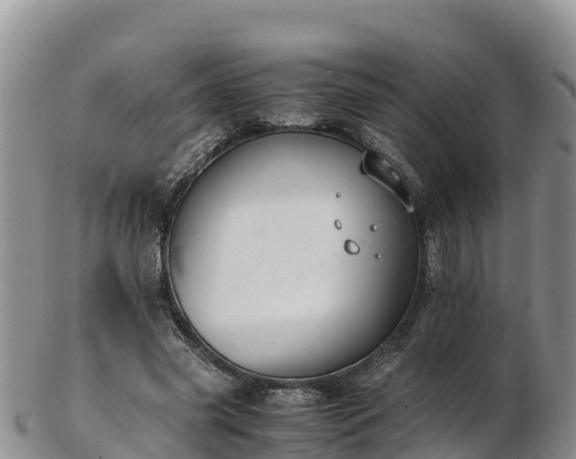 X0000103310541200809051547