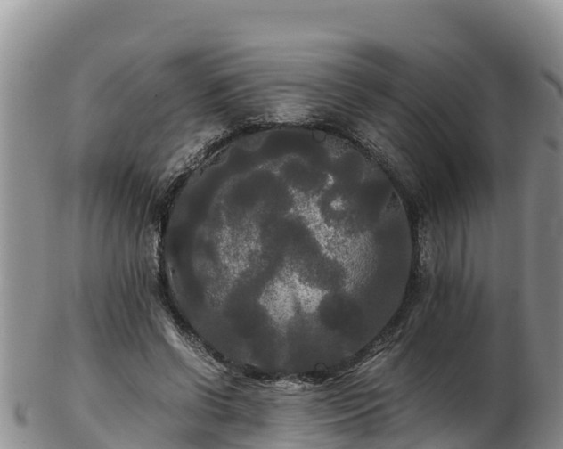X0000103310542200809051547
