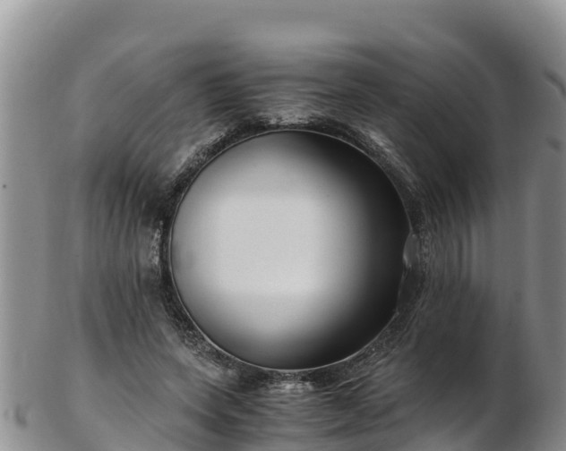 X0000103310543200809051547