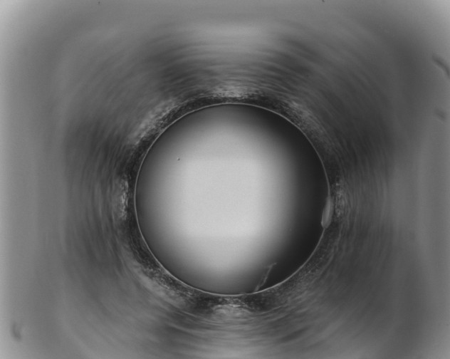 X0000103310544200809051547