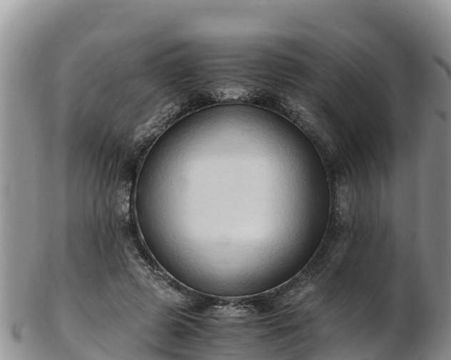 X0000103310545200809051547
